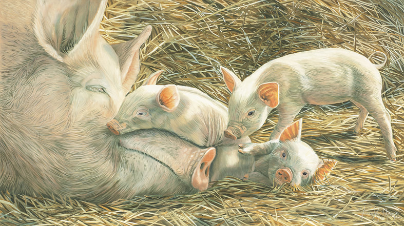 A family of pigs interact with each in their straw bedding.
