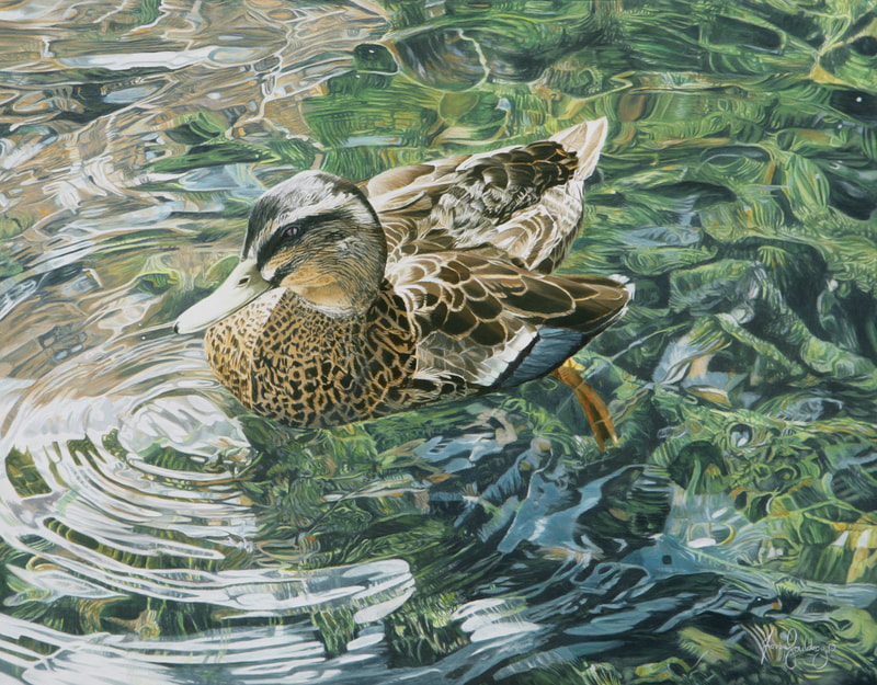 A female Mallard swims in the water while the sun dances on the surface creating a multitude of reflections.