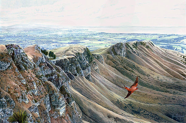 A Welcome Swallow soars through the air as it sweeps past Te Mata Peak near Havelock North, New Zealand.
