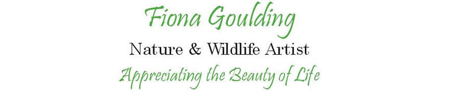 FIONA GOULDING Nature & Wildlife Artist For a Kinder World