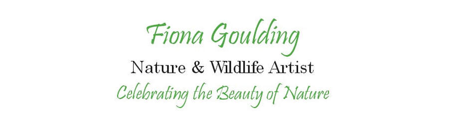 FIONA GOULDING Nature & Wildlife Artist Celebrating the Beauty of Nature