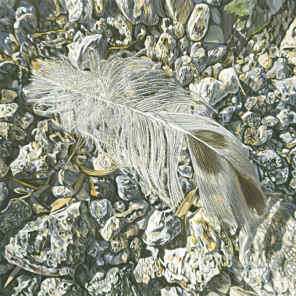 Feather settles on small rocks and pebbles.