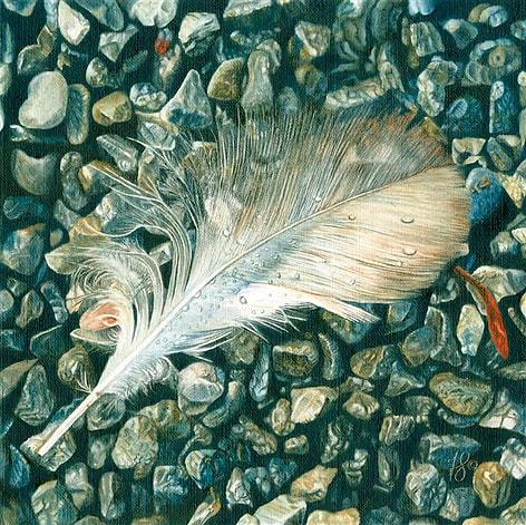 Delicate feather resting on small pebbles.